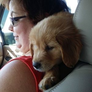 Meet your Posher, Mary